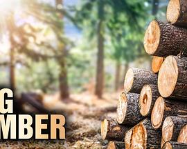 终极伐木达人第二季第03集