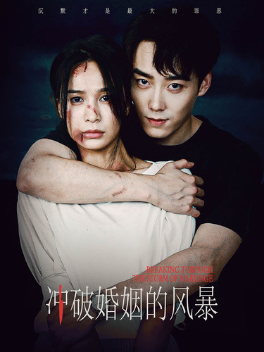 冲破婚姻的风暴第12集