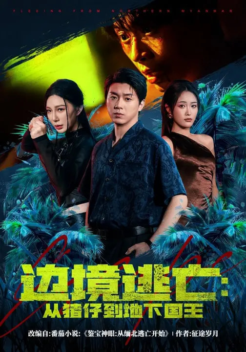 边境逃亡：从猪仔到地下国王(全集)