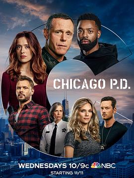 芝加哥警署 第八季(全集)